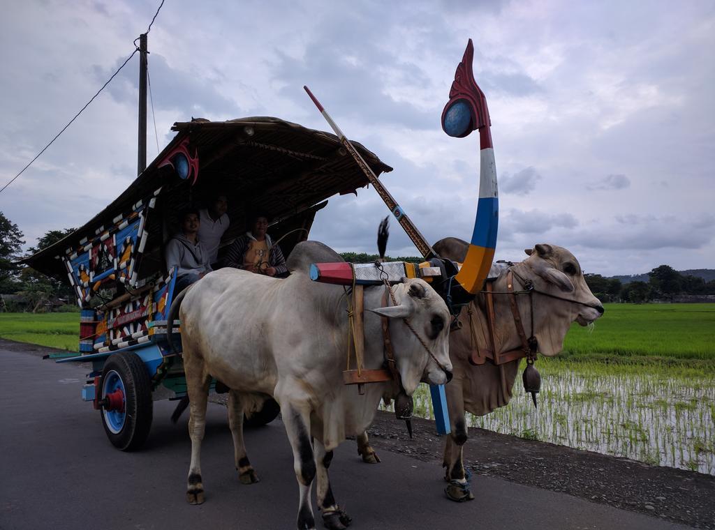 Joglo Ayem Tentrem Prambanan Esterno foto